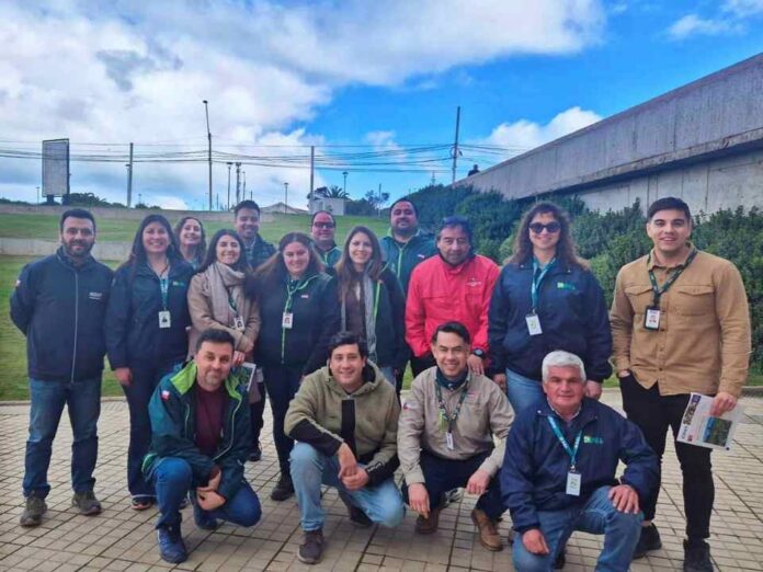 INIA y SAG capacitan a productores en manejo del nematodo foliar de la frutilla ante cierre de emergencia fitosanitaria