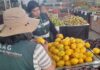 Ingreso ilegal de productos agrícolas: la amenaza detrás del aumento de mosca de la fruta