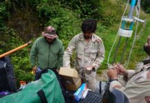 Investigación exploró la influencia de la temperatura en lípidos de lagos y suelos del sur de Chile para utilizarlos como marcadores ambientales