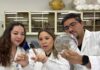 Investigación que busca recuperar suelos dañados representará a Chile en la COP30