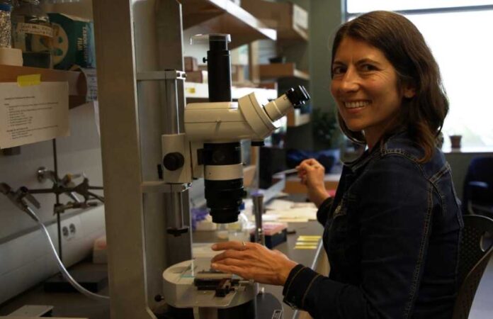 Investigadoras UV desarrollan ecoconsorcios microbianos para recuperar tierras agrícolas afectadas por el cambio climático