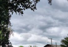Invierno frío, escasez de lluvias y previsión de calor en verano conforman un año particular en el centro-sur 