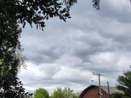 Invierno frío, escasez de lluvias y previsión de calor en verano conforman un año particular en el centro-sur 