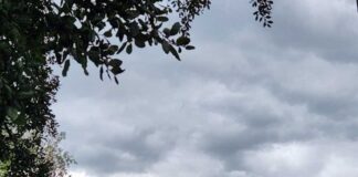 Invierno frío, escasez de lluvias y previsión de calor en verano conforman un año particular en el centro-sur 