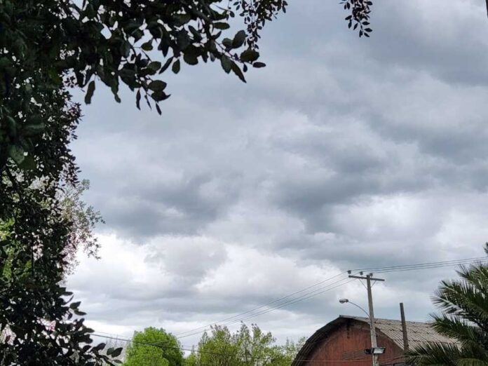 Invierno frío, escasez de lluvias y previsión de calor en verano conforman un año particular en el centro-sur 