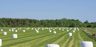 Agroplanet asegura abastecimiento de insumos de enfardados para agricultores pese a mayores costos de materias primas