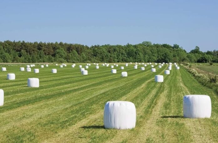 Agroplanet asegura abastecimiento de insumos de enfardados para agricultores pese a mayores costos de materias primas