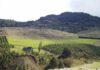 La Red Agroclimática Nacional invita al webinar "¿Tenemos suficiente agua y nieve disponible en el territorio?