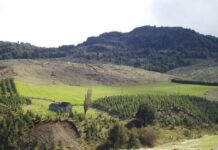 La Red Agroclimática Nacional invita al webinar "¿Tenemos suficiente agua y nieve disponible en el territorio?