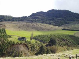 La Red Agroclimática Nacional invita al webinar "¿Tenemos suficiente agua y nieve disponible en el territorio?