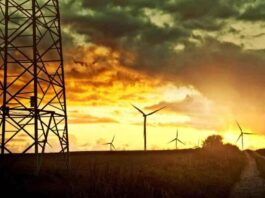 La revolución del Edge Computing en la agroindustria: datos en tiempo real desde el campo
