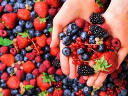 La solución para preservar la frescura de berries y productos del mar