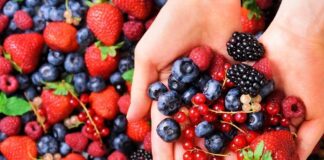 La solución para preservar la frescura de berries y productos del mar