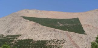 La superficie de viñedos para Vinos Premium en la Región de Coquimbo podría aumentar si se adopta la estrategia de Lagos Artificiales de Texas