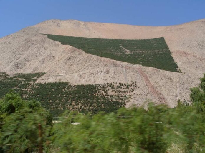 La superficie de viñedos para Vinos Premium en la Región de Coquimbo podría aumentar si se adopta la estrategia de Lagos Artificiales de Texas