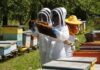 Lanzan en Chile innovador microscopio con IA que analiza la miel en minutos y detecta enfermedades