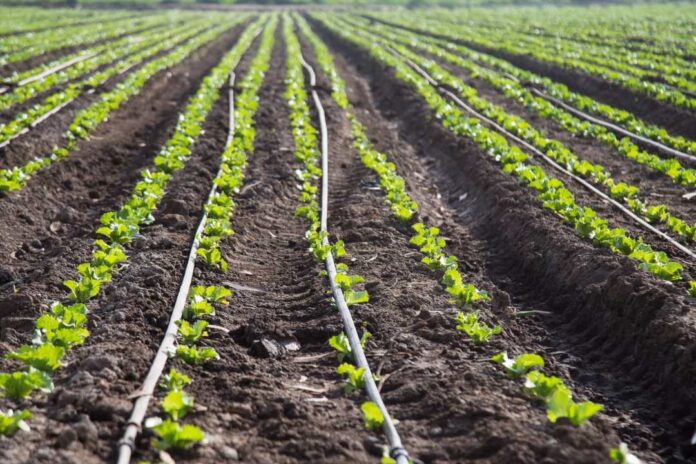 Lanzan nueva versión del curso sobre información agroclimática y Sistema de Alerta Temprana (SAT)