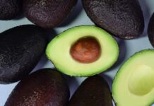 Más de 5,9 millones de platos con palta fueron pedidos en Chile durante el último año