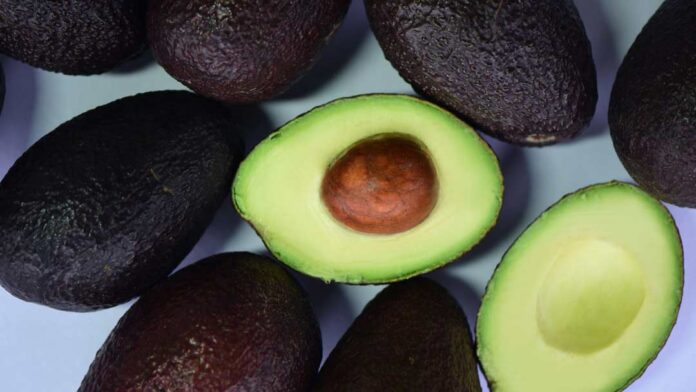 Más de 5,9 millones de platos con palta fueron pedidos en Chile durante el último año