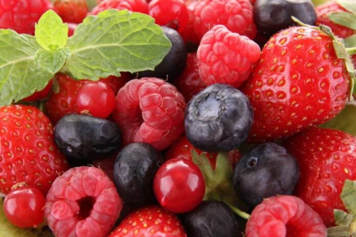 Mercado de berries en Estados Unidos muestra alta calidad en medio de fluctuaciones en la oferta