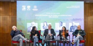 Mesa Sectorial de Agricultura Inteligente proyecta el futuro del agro con IA en el Biobío