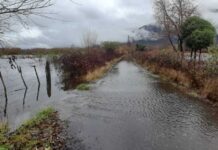 Minagri y BID invitan a participar en el seminario “Avances y desafíos de la Gestión de Riesgo de Desastres en el sector silvoagropecuario chileno”