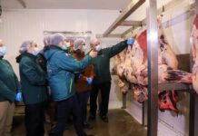 Ministerio de Agricultura refuerza fiscalización del SAG y llama a comprar carne en lugares autorizados en vísperas de Fiestas Patrias