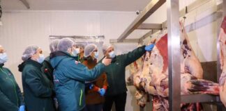 Ministerio de Agricultura refuerza fiscalización del SAG y llama a comprar carne en lugares autorizados en vísperas de Fiestas Patrias