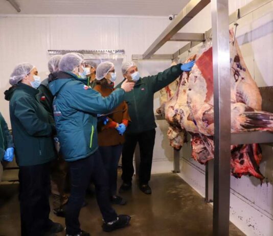 Ministerio de Agricultura refuerza fiscalización del SAG y llama a comprar carne en lugares autorizados en vísperas de Fiestas Patrias