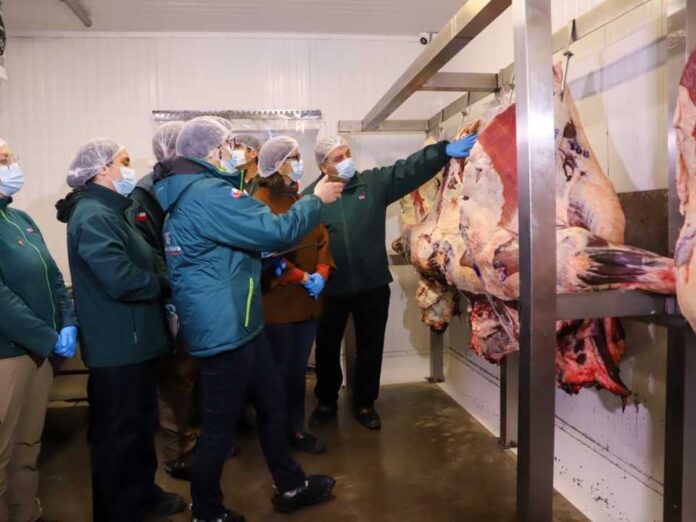 Ministerio de Agricultura refuerza fiscalización del SAG y llama a comprar carne en lugares autorizados en vísperas de Fiestas Patrias