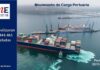 Movimiento de Carga Portuaria período 2015-2024
