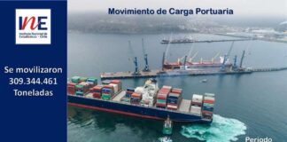 Movimiento de Carga Portuaria período 2015-2024