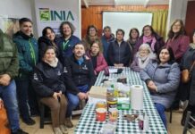 Mujeres rurales de San Nicolás avanzan hacia la certificación orgánica de semillas con apoyo de SAG e INIA 