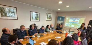 PTI de la Carne Bovina de Los Lagos inicia su tercer año fortaleciendo su red colaborativa con nuevos actores estratégicos