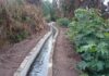 Pequeños agricultores del norte podrán presentar proyectos asociativos y obras civiles a nuevo concurso de la Ley de Riego