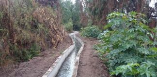 Pequeños agricultores del norte podrán presentar proyectos asociativos y obras civiles a nuevo concurso de la Ley de Riego