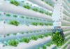 Premio Nacional de Innovación Alimentaria reconocerá los productos y servicios más destacados de la industria