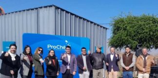 ProChile lanza Concurso Silvoagropecuario 2026