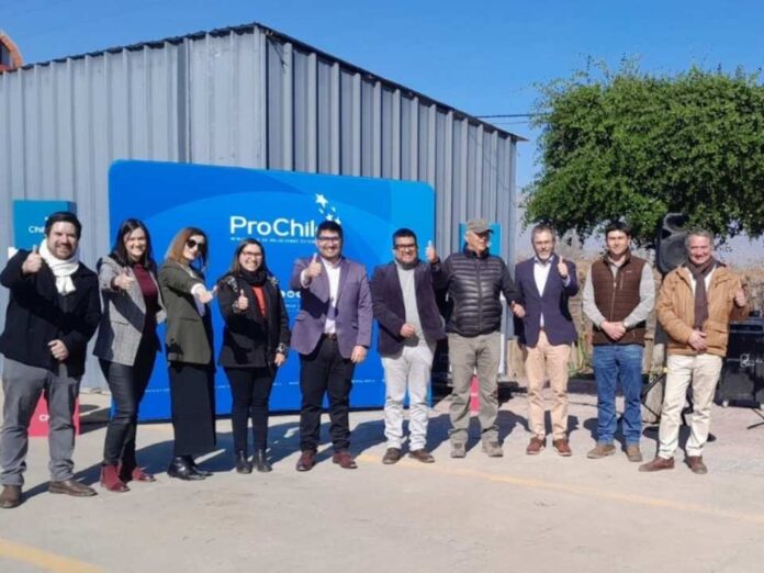 ProChile lanza Concurso Silvoagropecuario 2026