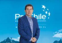 ProChile y las oportunidades para promocionar a Los Lagos en el mundo