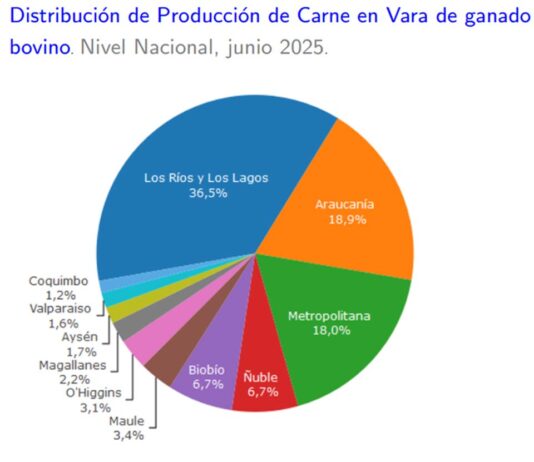 Producción de carne en vara de ganado bovino de la Región del Biobío presentó un incremento interanual de 29,9% en junio de 2025