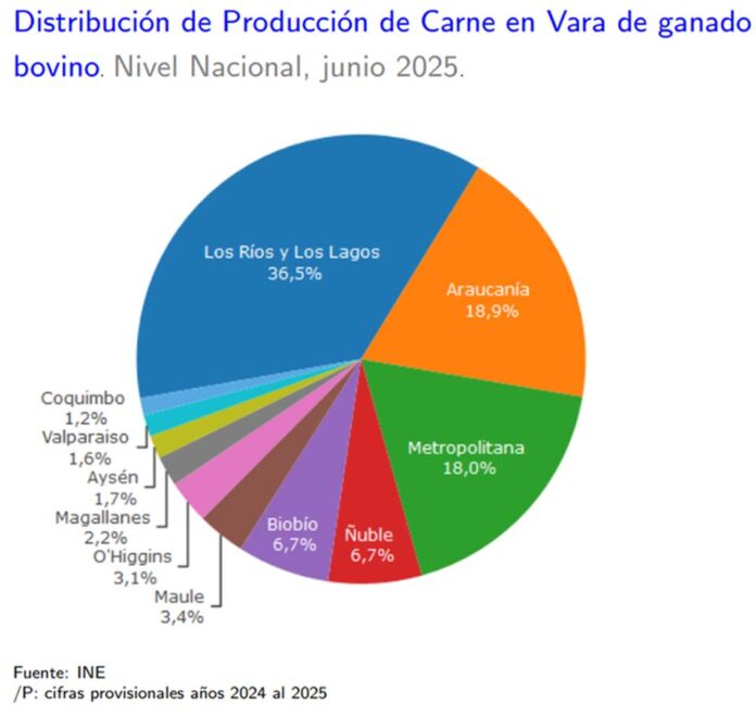 Producción de carne en vara de ganado bovino de la Región del Biobío presentó un incremento interanual de 29,9% en junio de 2025