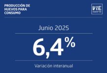 Producción de huevos de consumo junio de 2025