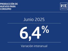 Producción de huevos de consumo junio de 2025