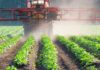 Gobierno refuerza protección sanitaria de la agricultura nacional con sanciones de cárcel por ingreso de plagas en Proyecto de Ley