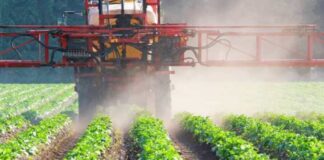 Gobierno refuerza protección sanitaria de la agricultura nacional con sanciones de cárcel por ingreso de plagas en Proyecto de Ley