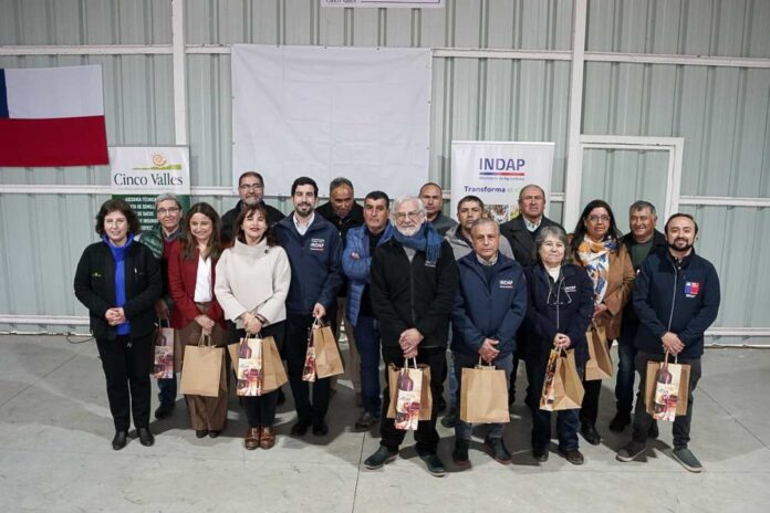 Proveedores campesinos venden por primera vez al Estado hortalizas, fruta y miel a través de ChileCompra