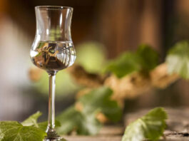 “Puro Pisco” llega al Mercado Urbano Tobalaba con más de 30 expositores y entrada gratuita