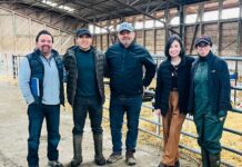 RTIAP explora oportunidades tecnológicas en la industria láctea del sur de Chile