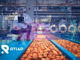 RTIAP amplía la frontera tecnológica en el monitoreo de túneles de prefrío para la fruticultura chilena